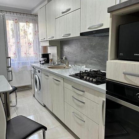 Stylish Apartment In Dambu Târgu-Mureş Dış mekan fotoğraf