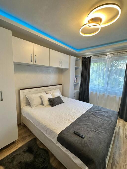 Stylish Apartment In Dambu Târgu-Mureş Dış mekan fotoğraf