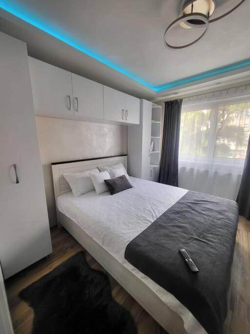 Stylish Apartment In Dambu Târgu-Mureş Dış mekan fotoğraf