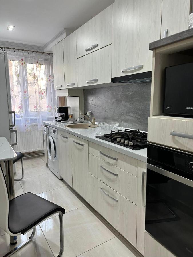 Stylish Apartment In Dambu Târgu-Mureş Dış mekan fotoğraf